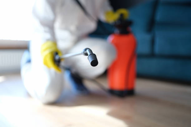 Best Emergency Mold Remediation  in Eagar, AZ