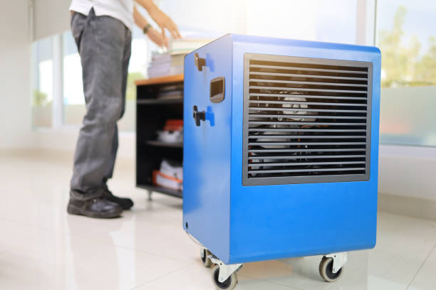 Best Industrial Mold Remediation  in Eagar, AZ